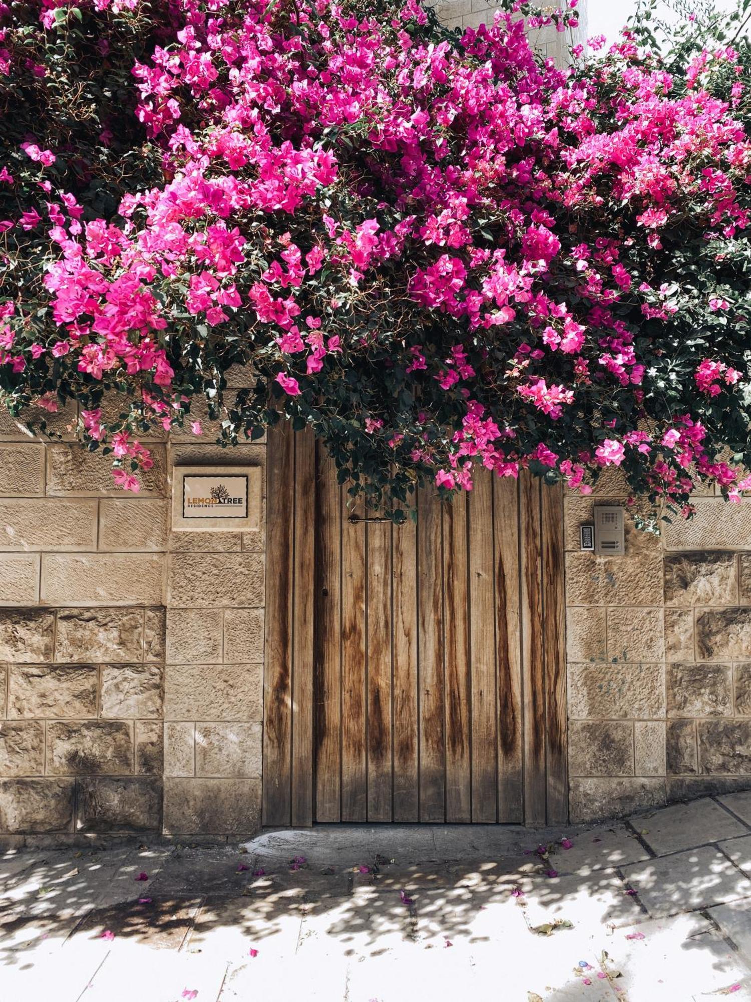 Lemon Tree *